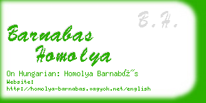 barnabas homolya business card